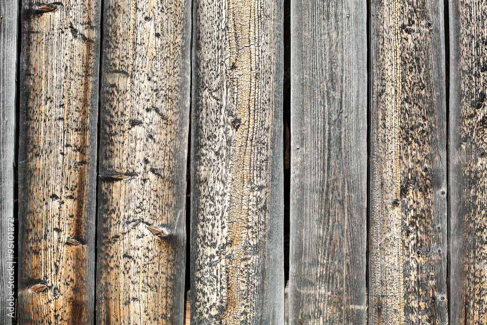 Fototapeta premium natural weathered wood
