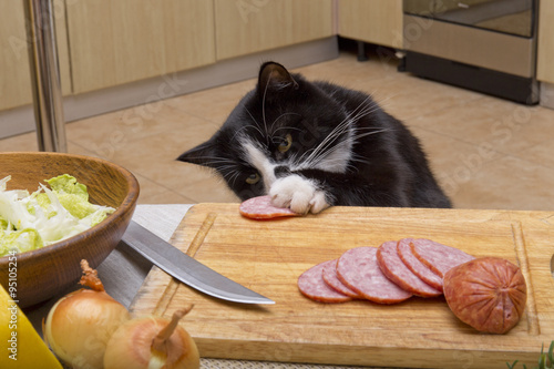 Fototapeta Naklejka Na Ścianę i Meble -  cat steals sausage from the table