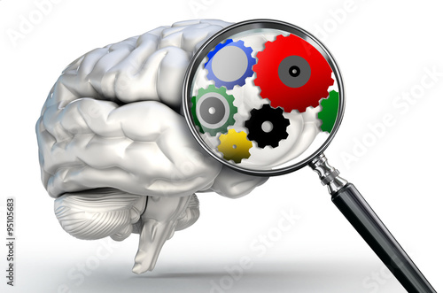 cog wheels word on magnifying glass and human brain