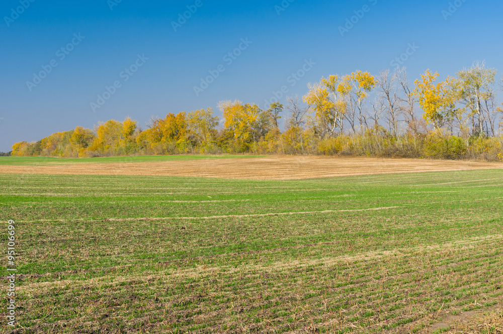 Ukrainian country landscape with seasonal agricultural fields
