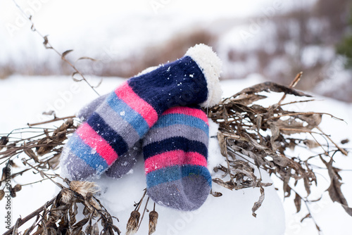 colored striped mittens on snow photo