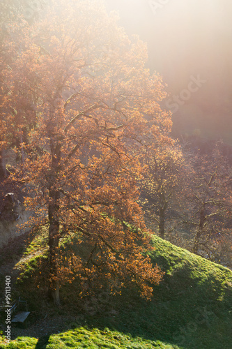 Zauberwald im Herbst © ARC Photography