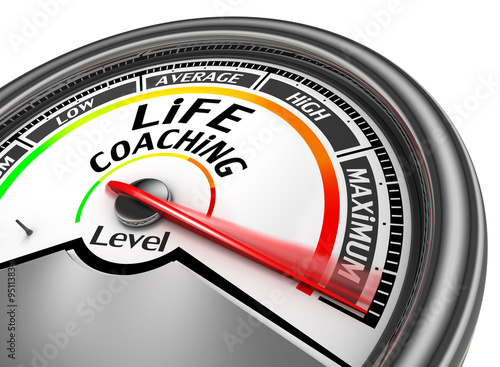 life coaching level to maximum conceptual meter