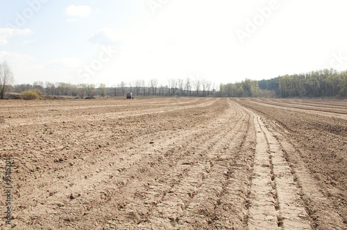 plowed field for planting wheat