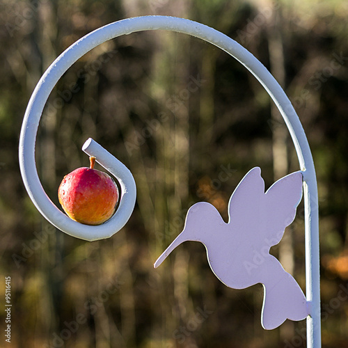 Apple and a humming bird Wizard staff