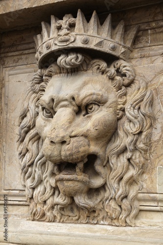 Lion head