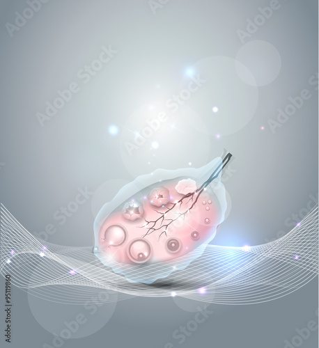 Female ovary abstract grey background