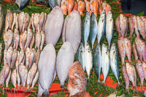 Fish for sale at a market in Istanbul, Turkey photo