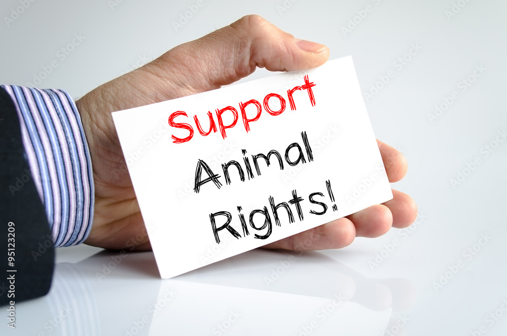 Support animal rights text concept Support animal rights text concept