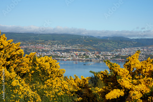Castro, the capital of Chiloe Island in Chile. Small city located on the far coast of a sheltered inlet. Viewed over yellow flowering gorse bushes.