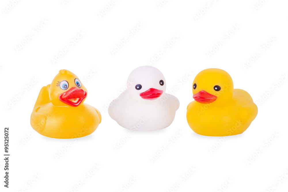 rubber duck isolated rubber duck isolated