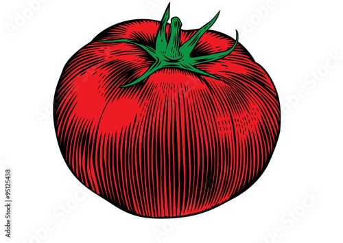 One isolated tomato