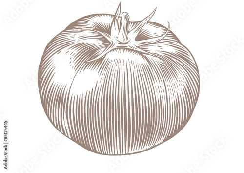 One isolated tomato