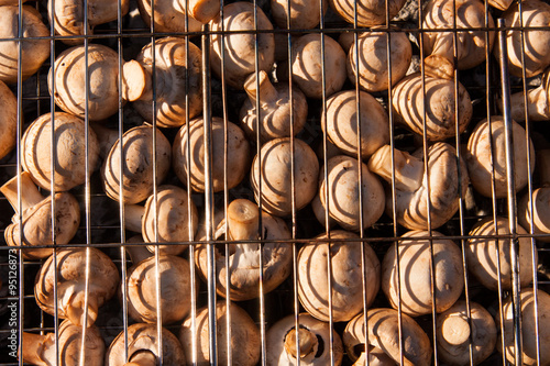 mushrooms on a barbecue grill