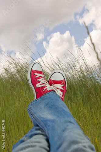 relaxing landscape overlooking the meadow © vit_kitamin