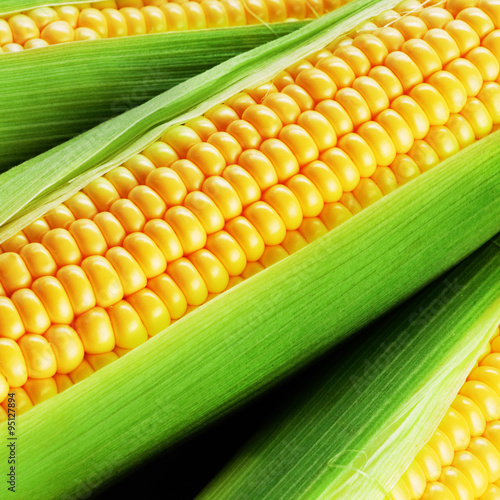 corn cob