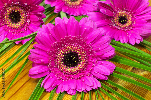 Pink gerbera on a wooden table