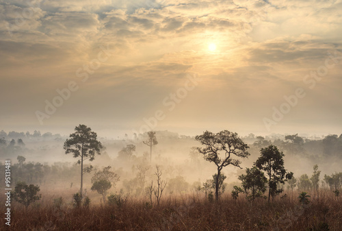 Thailand savanna landscape at sunrise