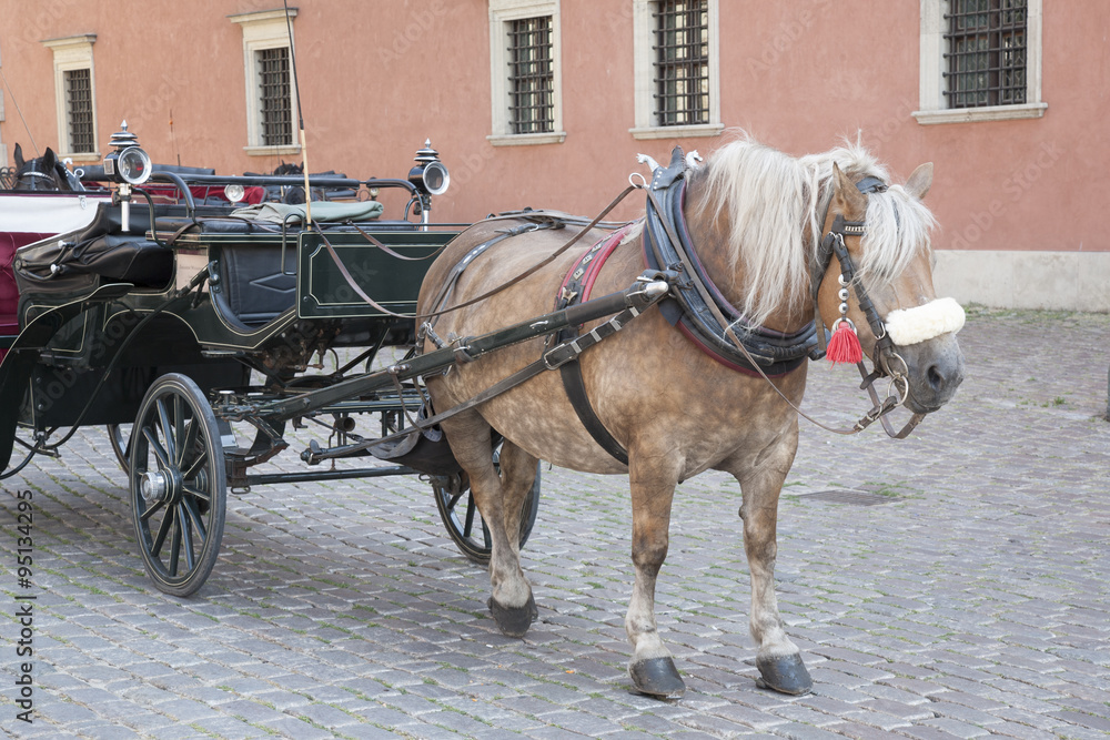 Horse and Carriage in Castle Square; Warsaw Horse and Carriage in Castle Square; Warsaw