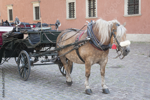 Horse and Carriage in Castle Square; Warsaw
