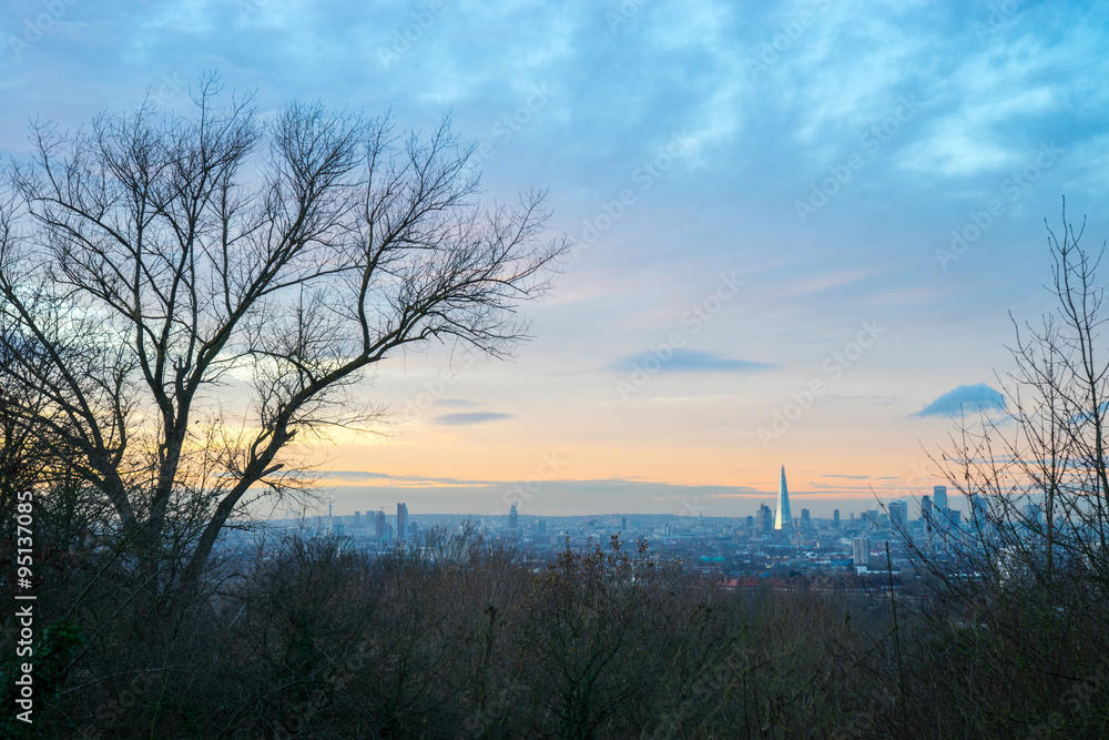 Fototapeta premium One tree city