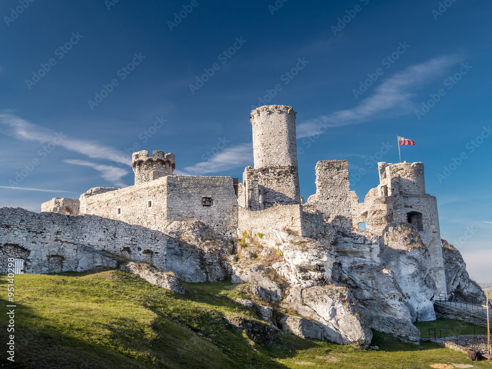 Ruins of medieval castle Ogrodzieniec