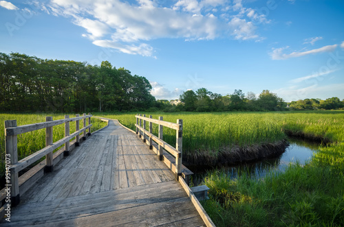 Fototapeta Naklejka Na Ścianę i Meble -  Scenic Boardwalk Footpath through Estuary in Summer - Peaceful Nature Trail with Bridge over Water