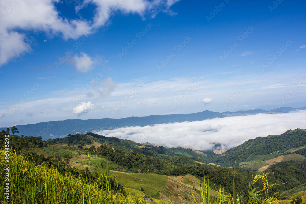 Sea of mist and sunrise at Phoocheefha,chiangrai, Thailand Sea of mist and sunrise at Phoocheefha,chiangrai, Thailand