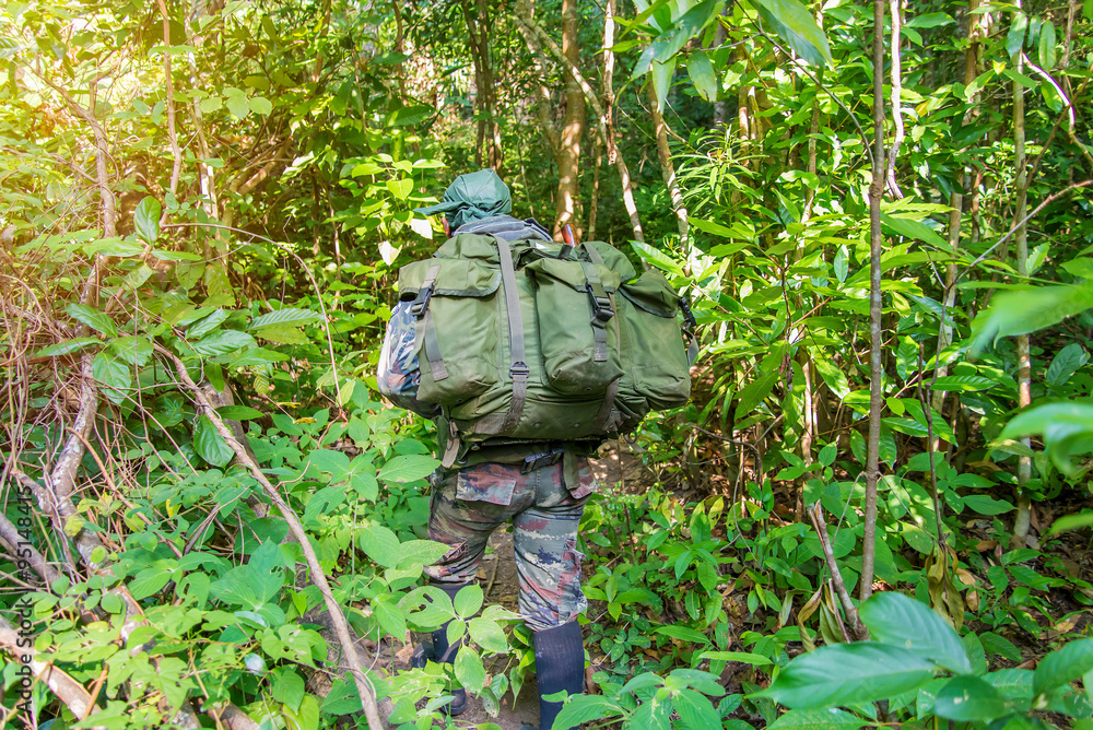 soldier or chasseur walking through a forest with lush grass