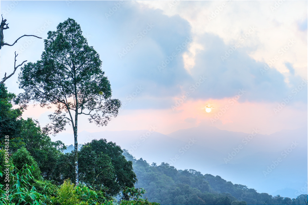 Obraz premium sunset