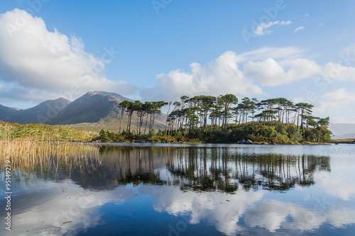 Pine Island, Connemara National Park, Ireland