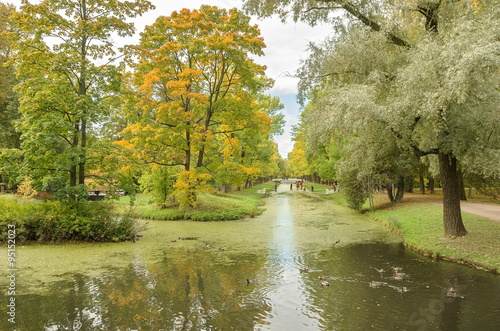 Autumn landscape in the Alexander Park, Tsarskoye Selo, Russia.