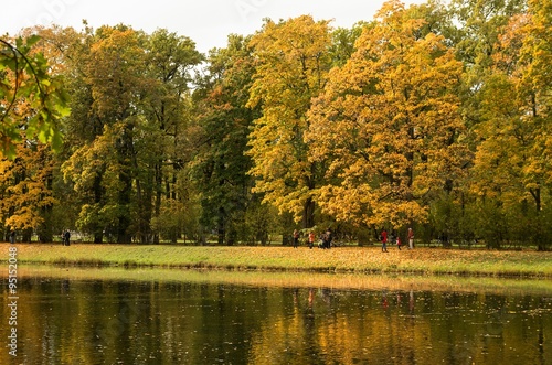 Autumn landscape in the Alexander Park, Tsarskoye Selo, Russia.