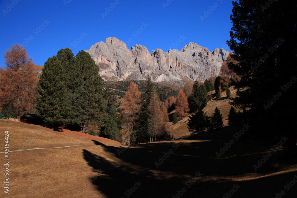 Autunno in val Gardena, Dolomiti, Alto Adige Sud Tirol StockFoto