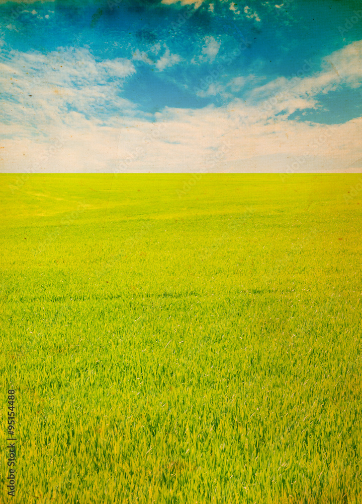 Obraz premium Green field and blue sky
