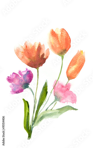 Beautiful tulip flowers  watercolor illustrator