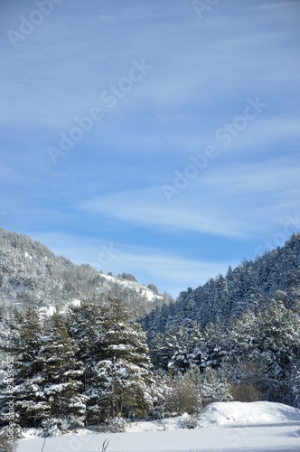 alpes du sud