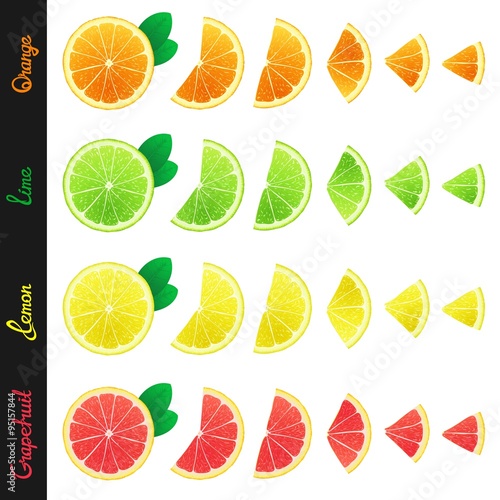 Big set of citrus slices of orange, lemon, lime and grapefruit. Isolated design elements