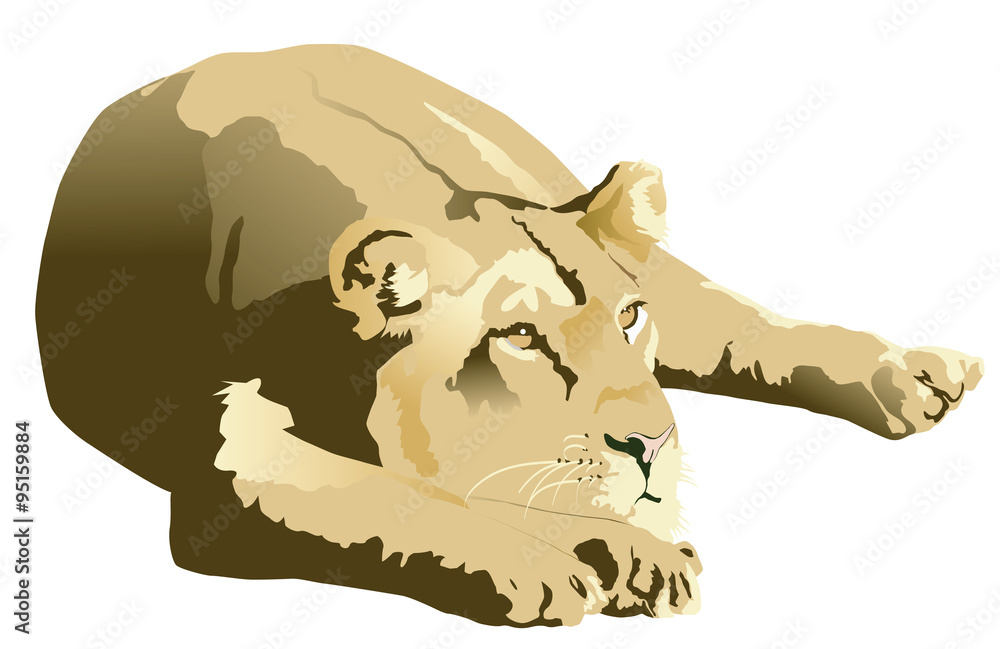 Obraz premium illustration of a lioness laying down with head on paws against a white background