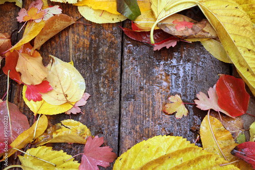 Autumn leaves background  