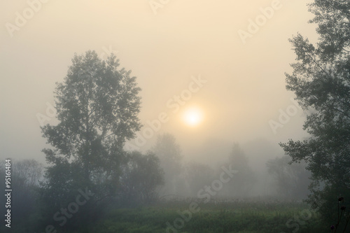 Misty morning © smolskyevgeny