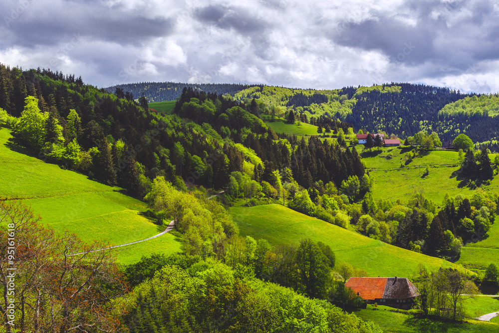 Scenic panoramic landscape: summer mountain valley with forests, fields and village in Germany, St. Ulrich, Black Forest