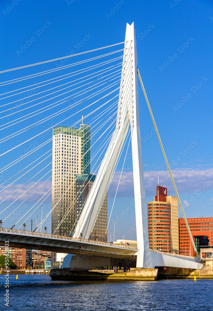 Fototapeta premium View of Erasmus Bridge in Rotterdam, Netherlands