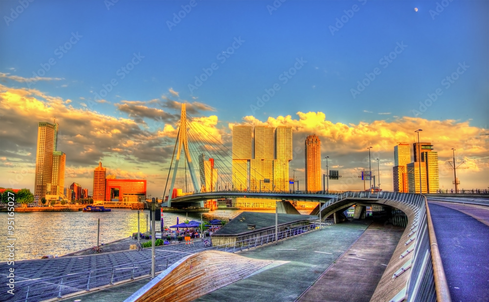 Fototapeta premium Erasmus Bridge in Rotterdam - Netherlands