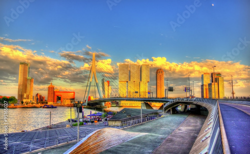 Erasmus Bridge in Rotterdam - Netherlands