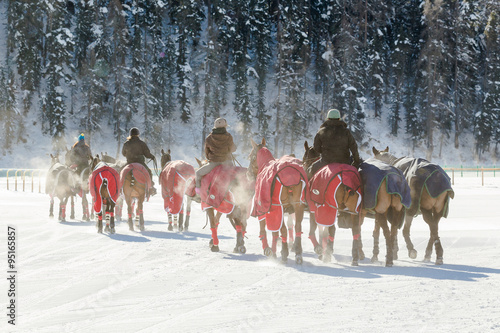 Gruppo di cavalli su neve
