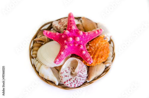 Plate full of seashells isolated on a white background