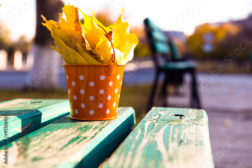 yellow leaves of autumn. Decoration of fallen leaves in a bucket on a wooden bench in the park. Autumn still life in the open air. cleaning garden in autumn at sunset
 photo