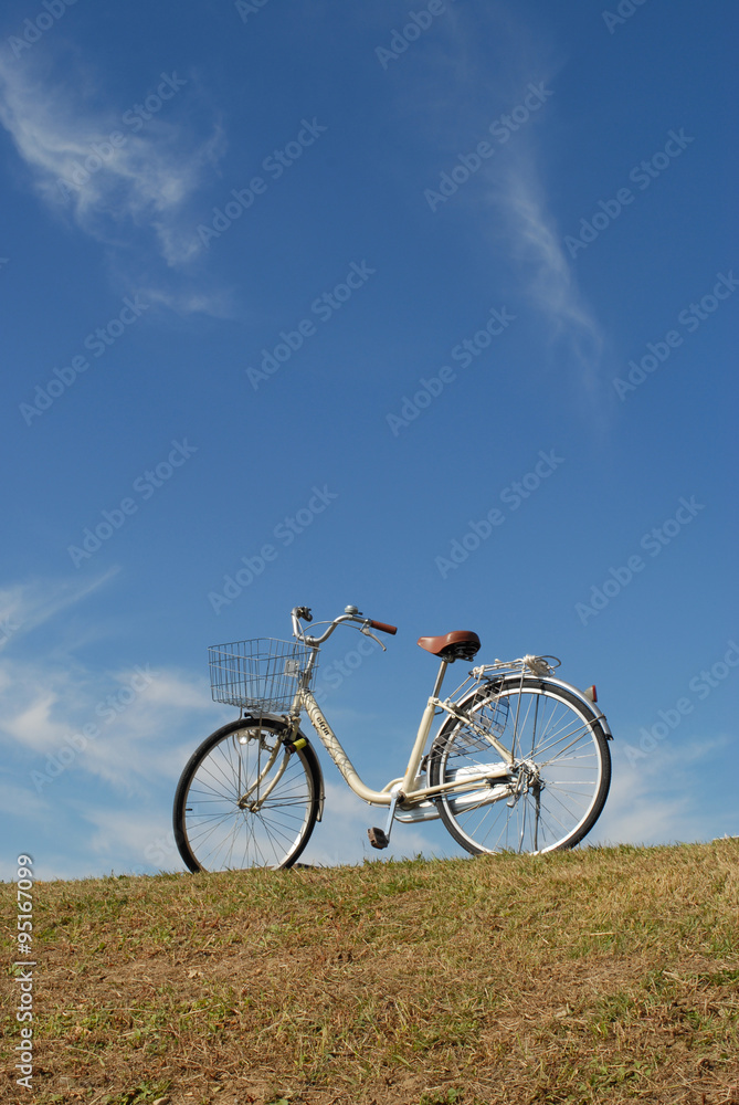 自転車 自転車