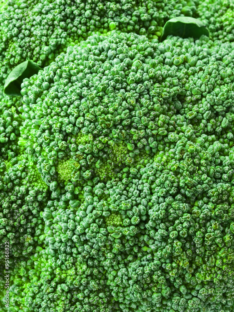  broccoli textur ,close up
